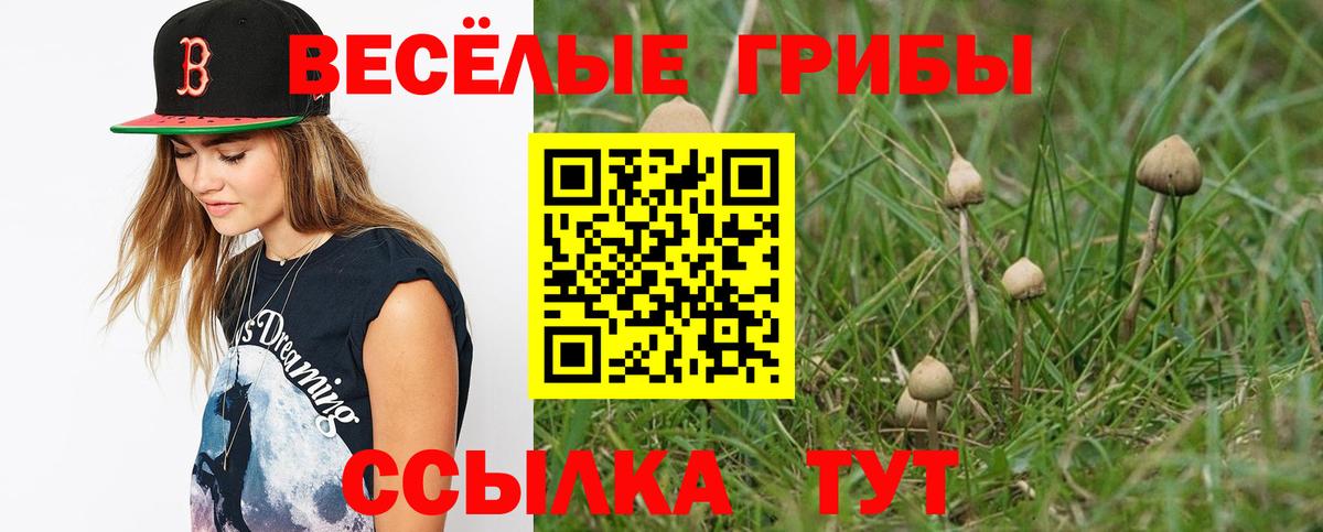 Галлюциногенные грибы Psilocybe Вятские Поляны